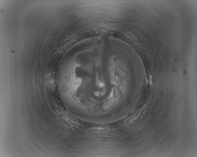 X0000067350771200604030933