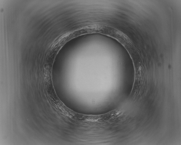 X0000067350773200604030933