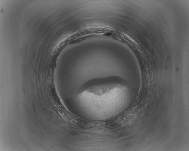 X0000067350775200604030933