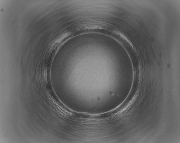 X0000067350777200604030933