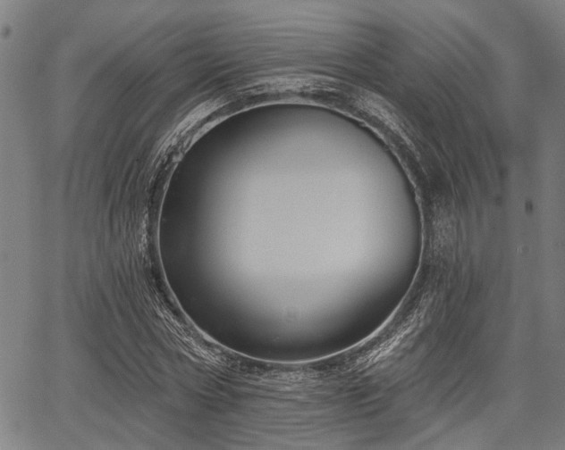 X0000067350778200604030933