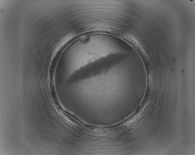 X0000067350780200604030933