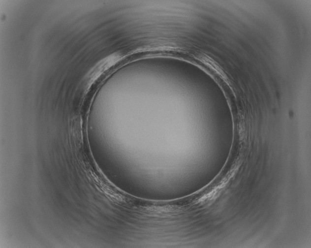 X0000067350781200604030933