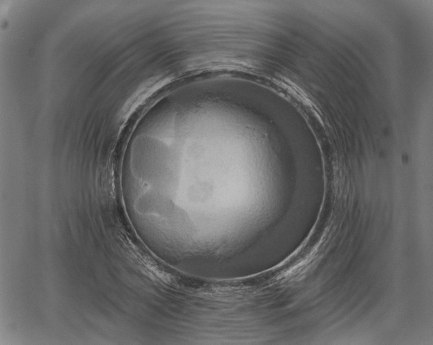 X0000067350782200604030933