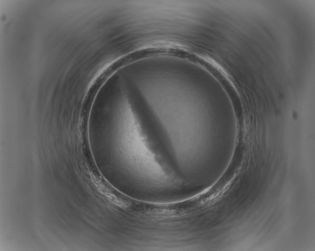 X0000067350783200604030933