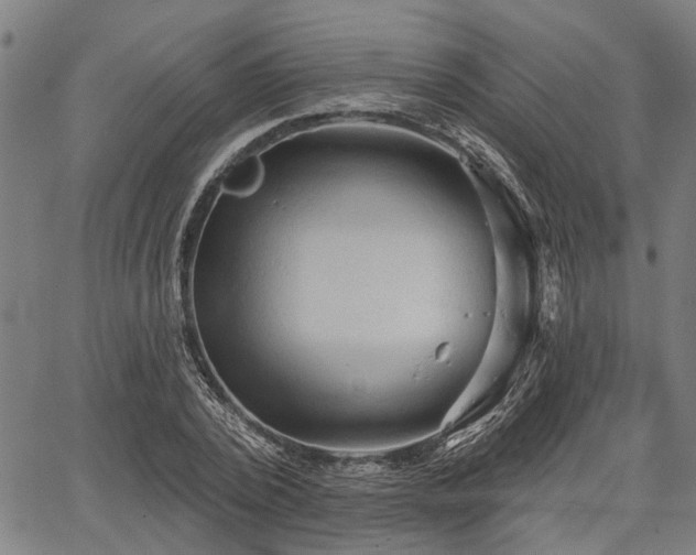 X0000067350784200604030933