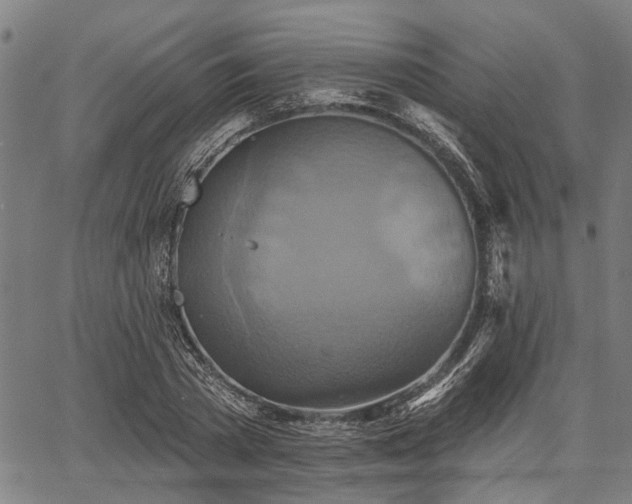 X0000067350785200604030933