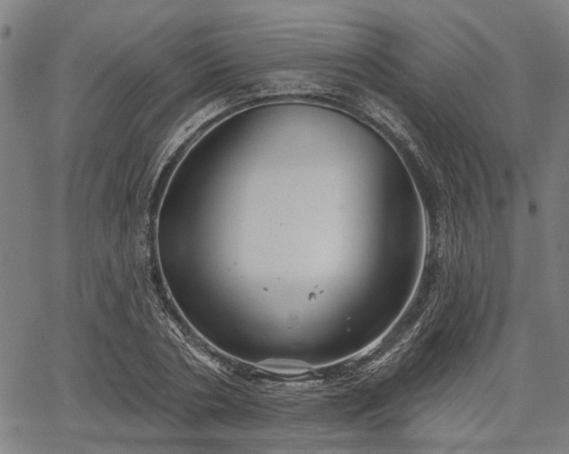 X0000067350786200604030933