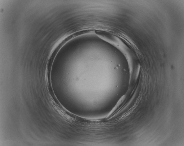 X0000067350788200604030933