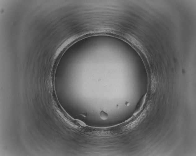 X0000067350789200604030933