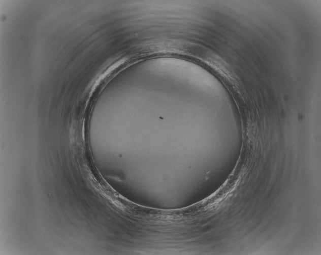 X0000067350790200604030933