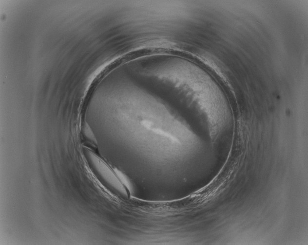 X0000067350791200604030933