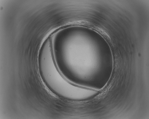 X0000067350792200604030933