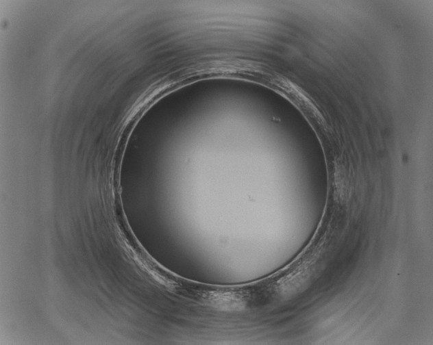 X0000067350794200604030933