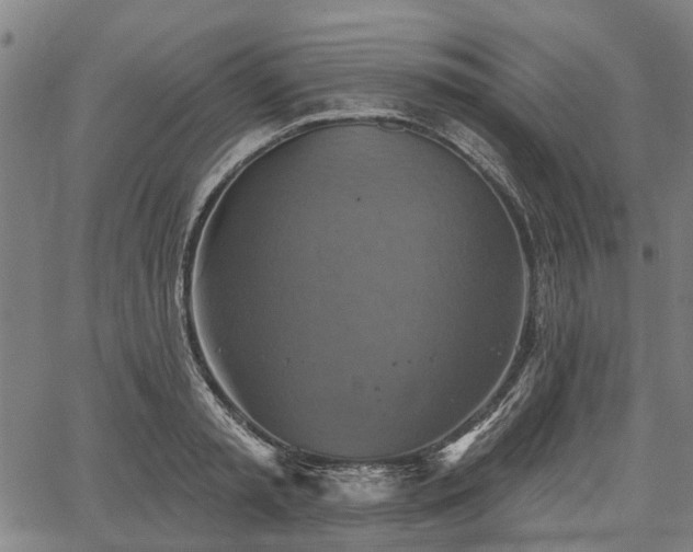 X0000067350797200604030933