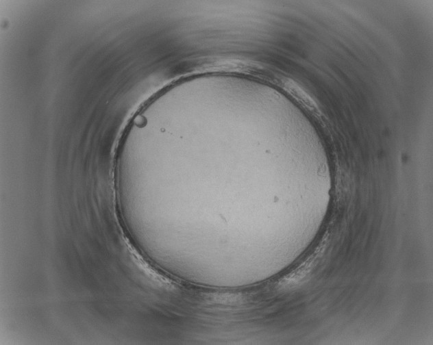 X0000067350800200604030932