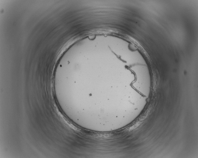 X0000067350802200604030932