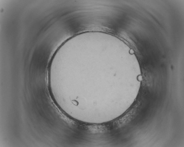 X0000067350804200604030932