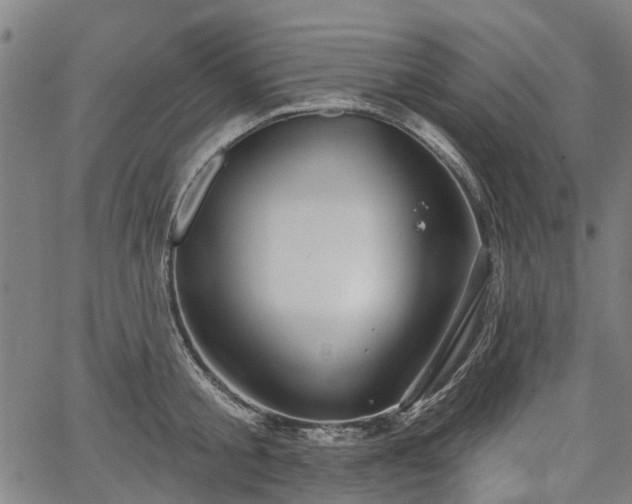 X0000067350805200604030932