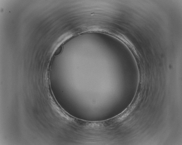 X0000067350806200604030932