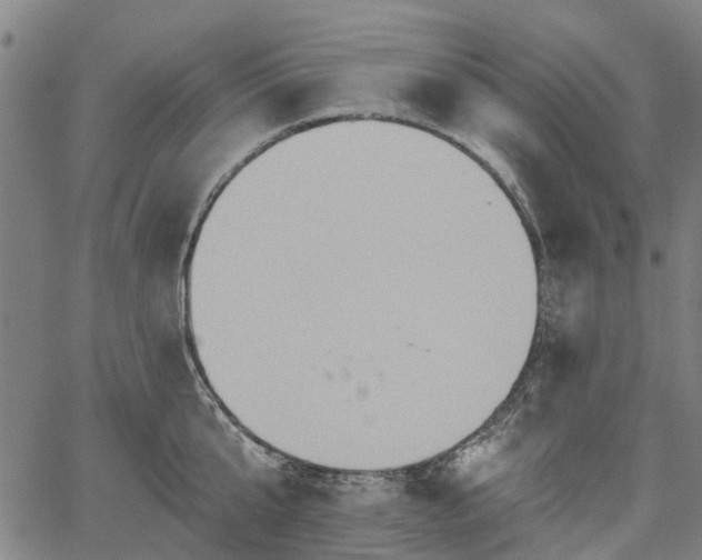 X0000067350807200604030932