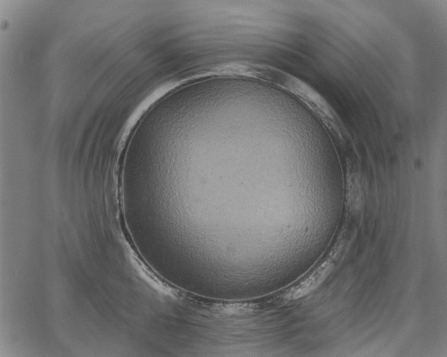 X0000067350808200604030932