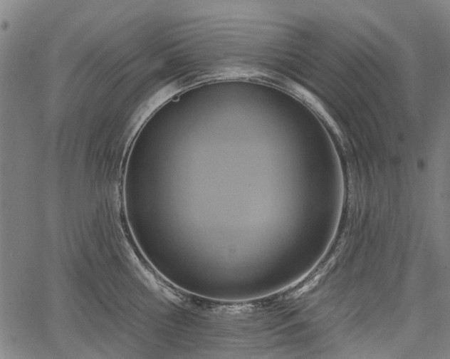 X0000067350810200604030932