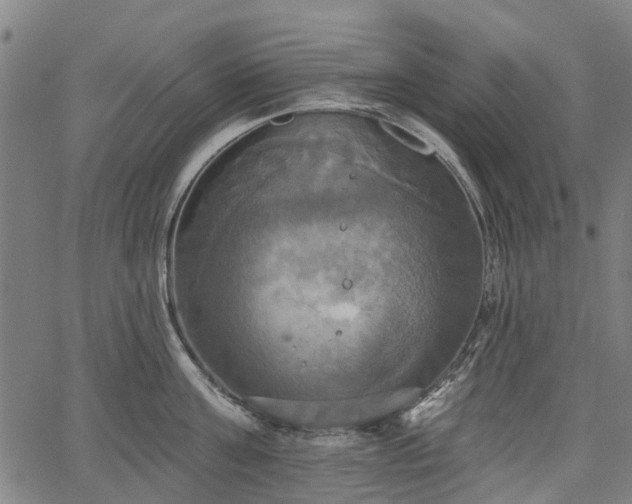 X0000067350811200604030932