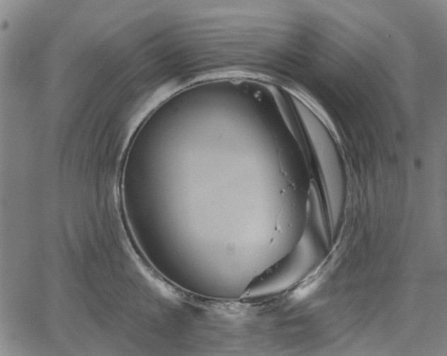 X0000067350813200604030932