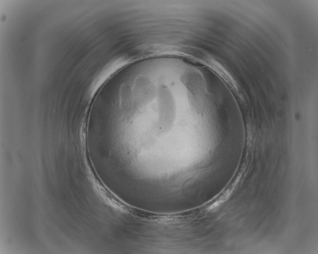 X0000067350814200604030932