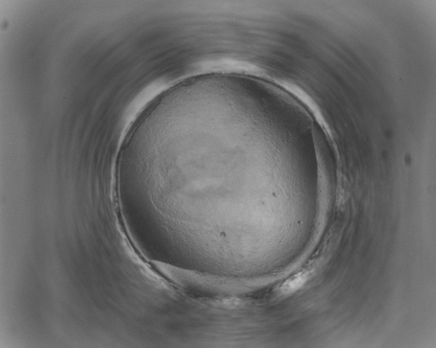 X0000067350815200604030932