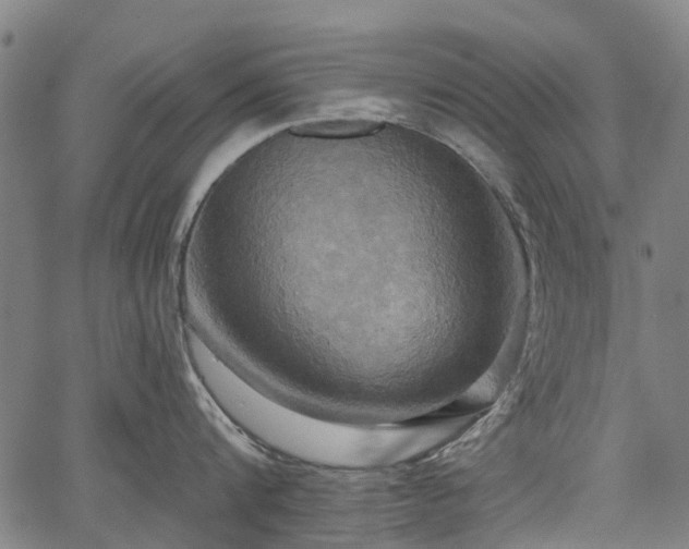 X0000067350816200604030932