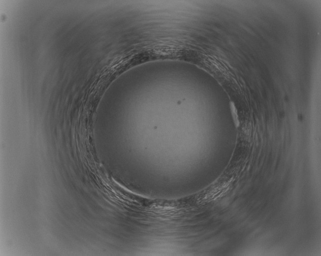 X0000067350817200604030931