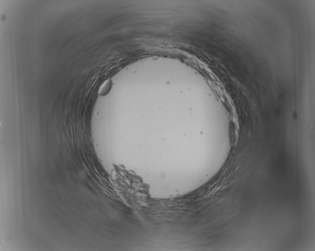 X0000067350820200604030931