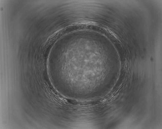 X0000067350821200604030932