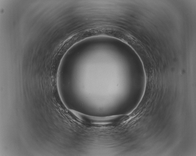 X0000067350822200604030932