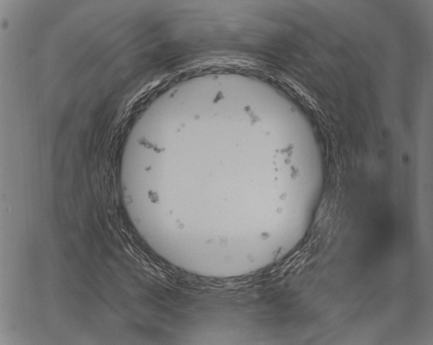 X0000067350824200604030932