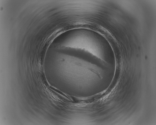 X0000067350825200604030932