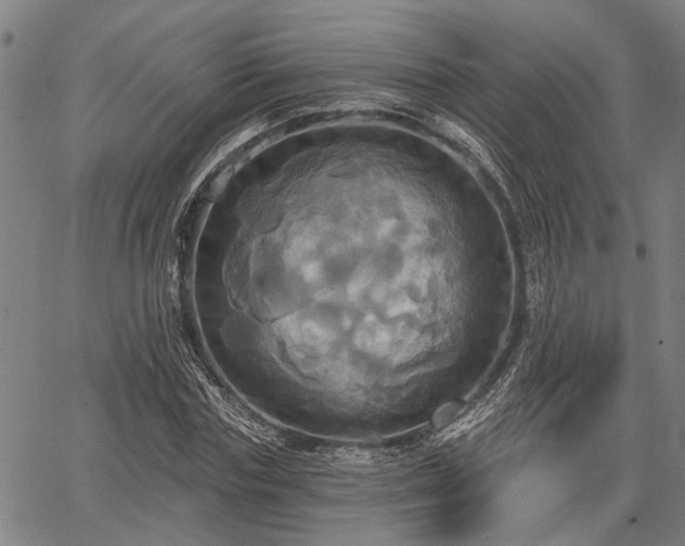 X0000067350827200604030932