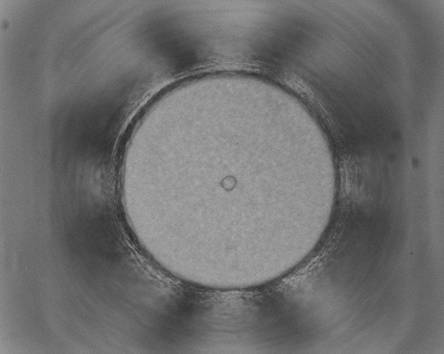 X0000067350828200604030932