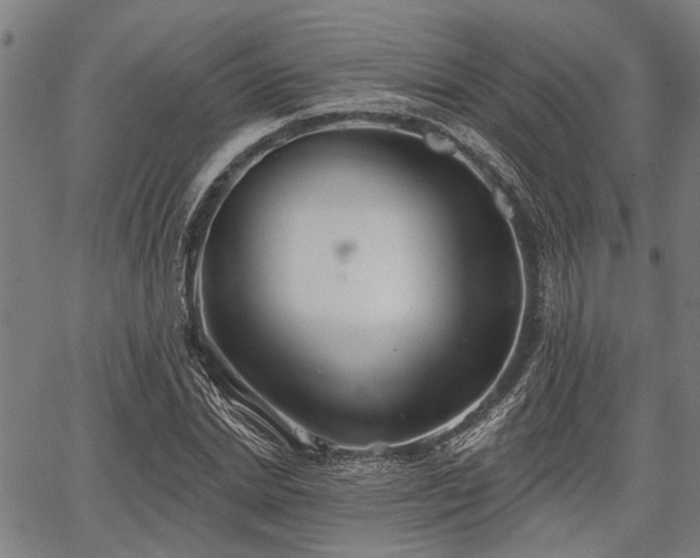 X0000067350830200604030932