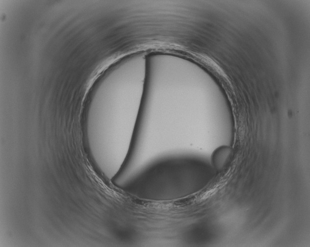 X0000067350831200604030932