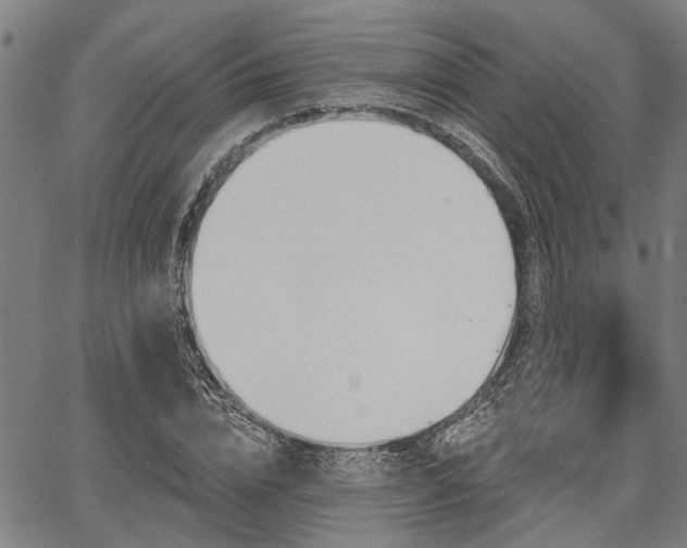 X0000067350832200604030932