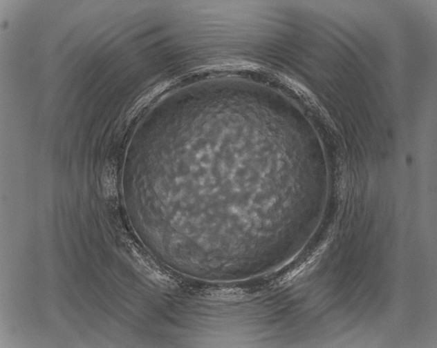 X0000067350833200604030932