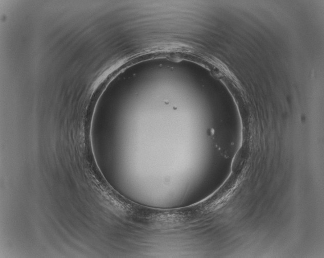 X0000067350834200604030932