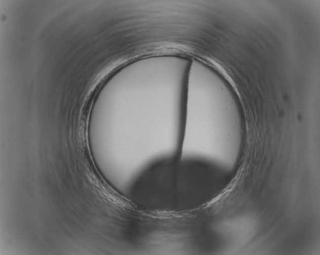 X0000067350835200604030932