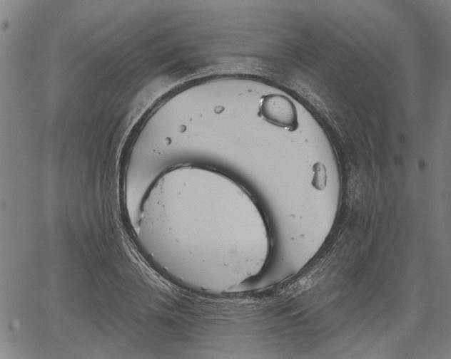 X0000067350836200604030932