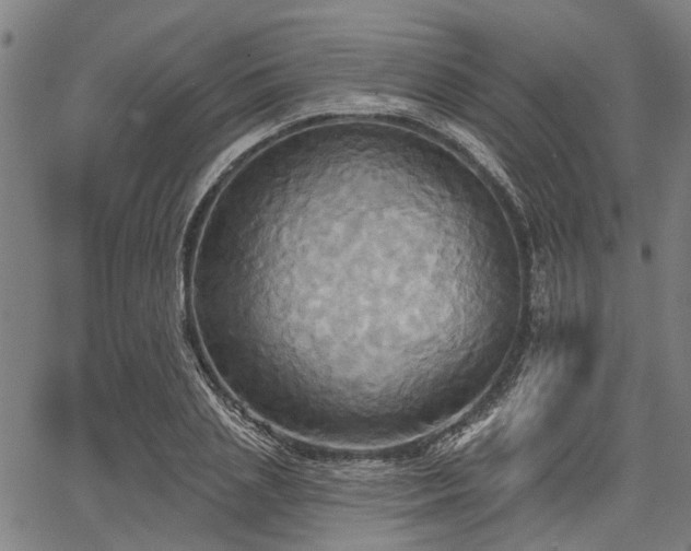 X0000067350837200604030932