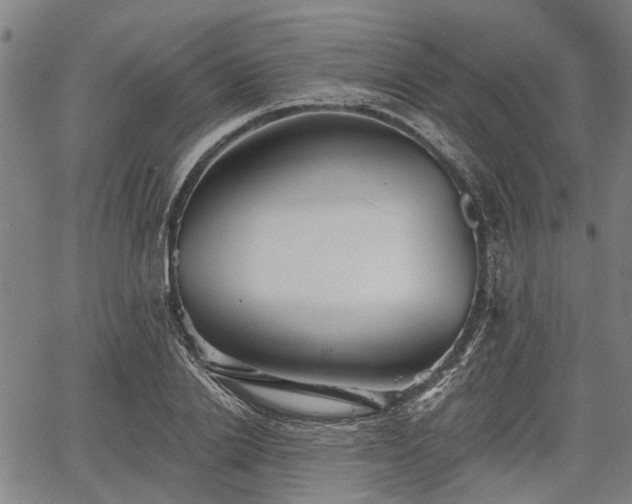 X0000067350838200604030932