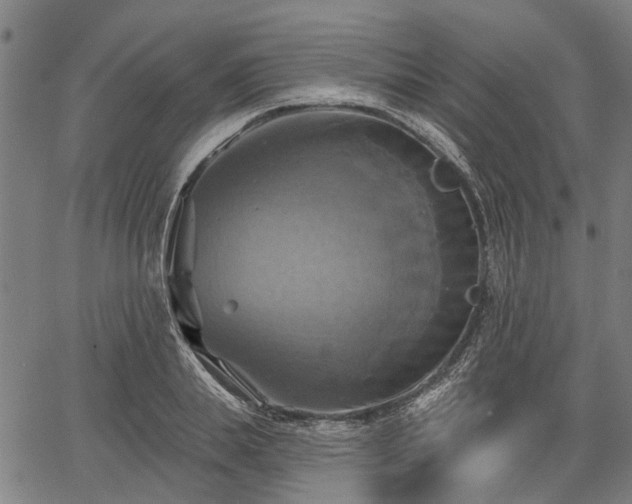 X0000067350839200604030932